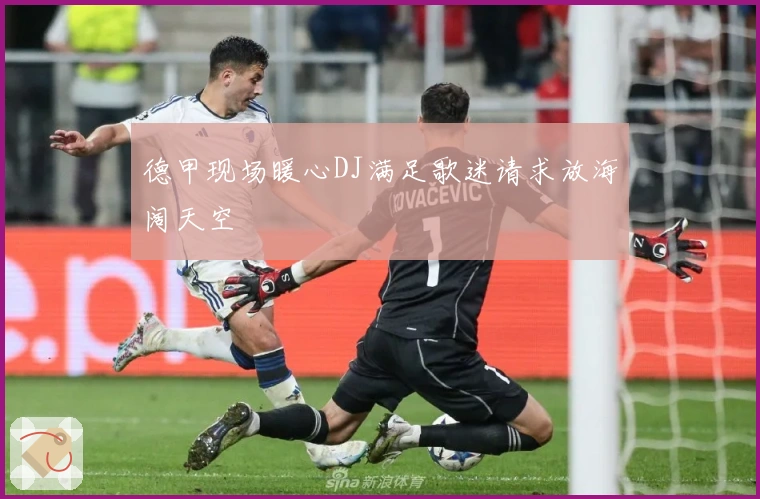 德甲现场暖心DJ满足歌迷请求放海阔天空